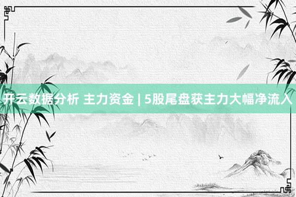 开云数据分析 主力资金 | 5股尾盘获主力大幅净流入