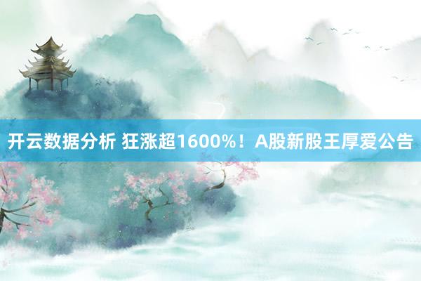 开云数据分析 狂涨超1600%!A股新股王厚爱公告