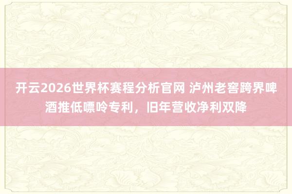 开云2026世界杯赛程分析官网 泸州老窖跨界啤酒推低嘌呤专利,旧年营收净利双降