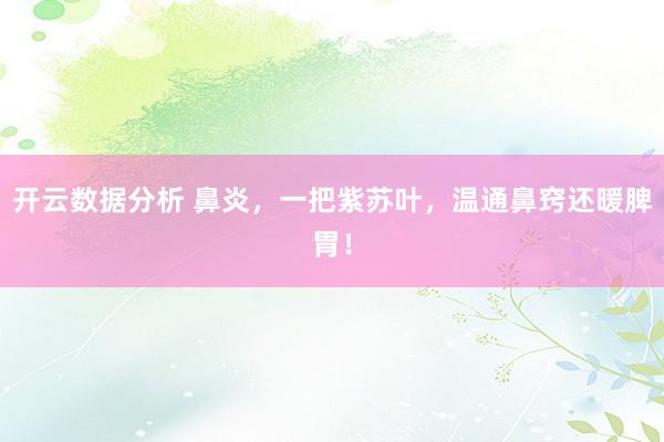 开云数据分析 鼻炎,一把紫苏叶,温通鼻窍还暖脾胃!