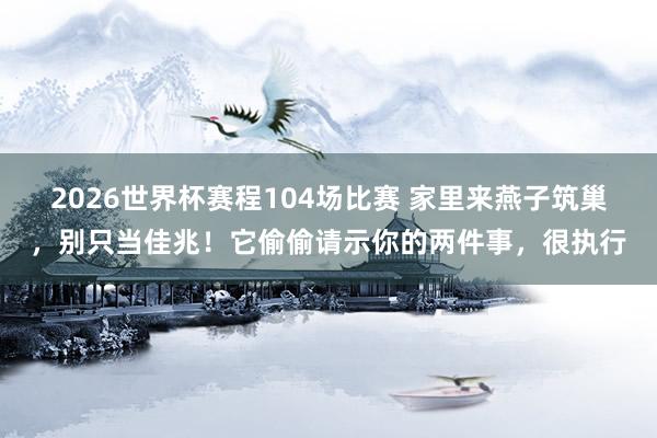 2026世界杯赛程104场比赛 家里来燕子筑巢,别只当佳兆!它偷偷请示你的两件事,很执行