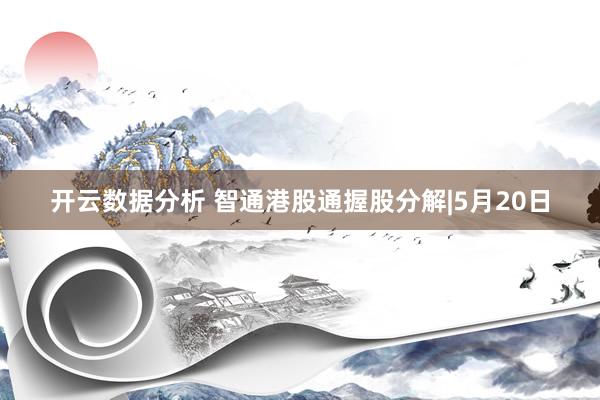 开云数据分析 智通港股通握股分解|5月20日