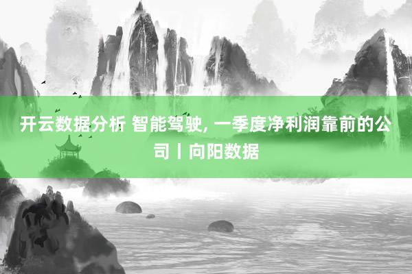 开云数据分析 智能驾驶, 一季度净利润靠前的公司丨向阳数据