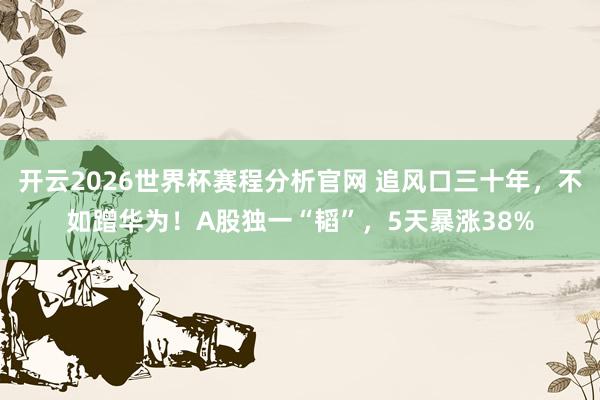 开云2026世界杯赛程分析官网 追风口三十年,不如蹭华为!A股独一“韬”,5天暴涨38%
