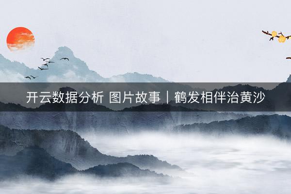 开云数据分析 图片故事|鹤发相伴治黄沙
